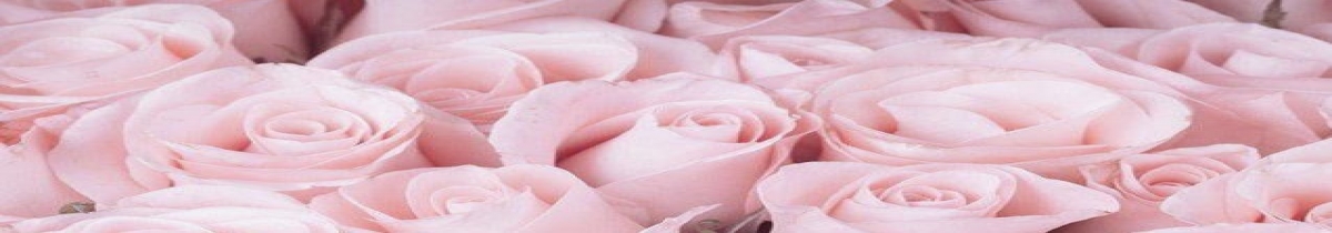 Aktuel Çiçek menü resmi 8