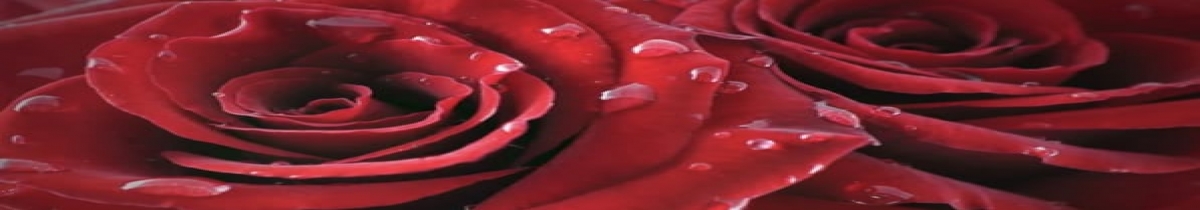 Aktuel Çiçek menü resmi 11