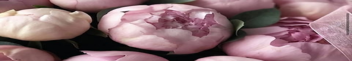 Aktuel Çiçek menü resmi 7