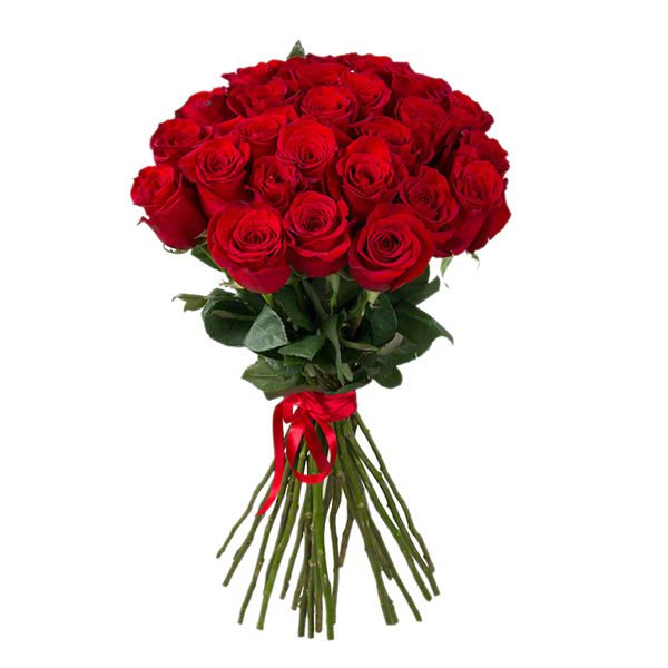  24 Red Roses Bouquet