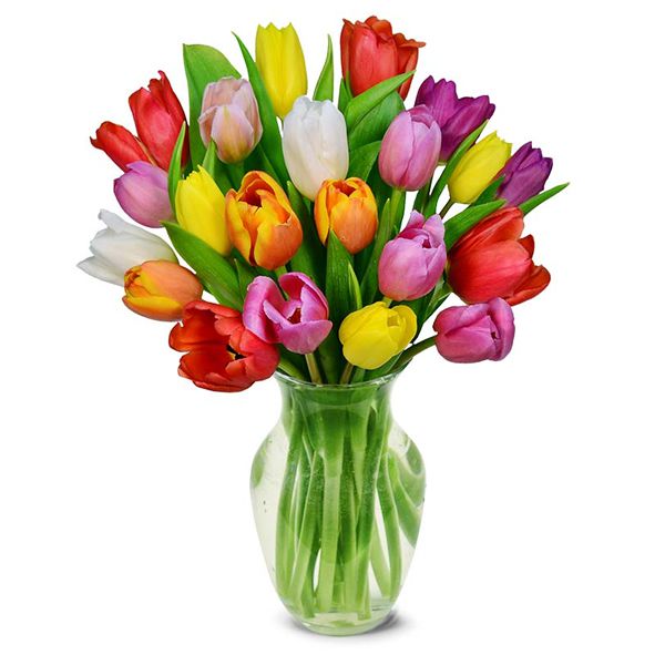 20 Colorful Tulips in Vase Resim 1